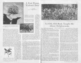Better Homes & Gardens May 1930 Magazine Article: Page 20