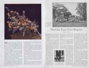 Better Homes & Gardens May 1930 Magazine Article: Page 46