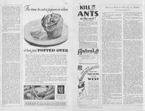 Better Homes & Gardens May 1930 Magazine Article: Page 119