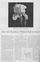 Better Homes & Gardens June 1930 Magazine Article: Iris--the Rainbow Which Fell to Earth