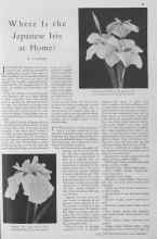 Better Homes & Gardens June 1930 Magazine Article: Where Is the Japanese Iris at Home?
