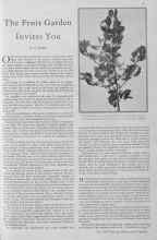 Better Homes & Gardens June 1930 Magazine Article: The Fruit Garden Invites You