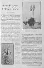 Better Homes & Gardens June 1930 Magazine Article: State Flowers I Would Grow