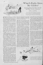 Better Homes & Gardens June 1930 Magazine Article: What Is Right About My Garden?