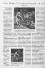 Better Homes & Gardens June 1930 Magazine Article: June Notes From a Gardener's Scrapbook