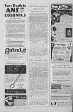 Better Homes & Gardens June 1930 Magazine Article: The Smyrna Fig