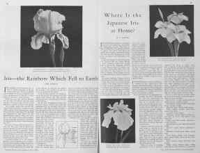 Better Homes & Gardens June 1930 Magazine Article: Page 16