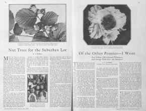 Better Homes & Gardens June 1930 Magazine Article: Page 22