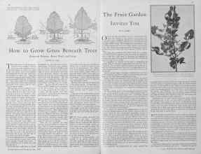 Better Homes & Gardens June 1930 Magazine Article: Page 38