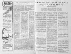 Better Homes & Gardens June 1930 Magazine Article: Page 82