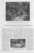 Better Homes & Gardens July 1930 Magazine Article: First Steps in Rock Gardening