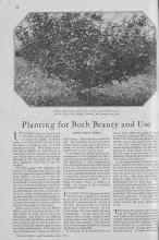Better Homes & Gardens July 1930 Magazine Article: Planting for Both Beauty and Use