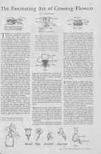 Better Homes & Gardens July 1930 Magazine Article: The Fascinating Art of Crossing Flowers