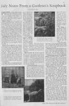 Better Homes & Gardens July 1930 Magazine Article: July Notes From a Gardener's Scrapbook