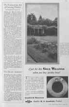 Better Homes & Gardens July 1930 Magazine Article: The Drake Almond