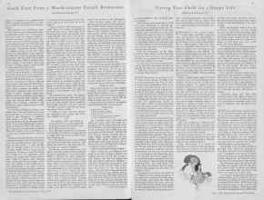 Better Homes & Gardens July 1930 Magazine Article: Page 36