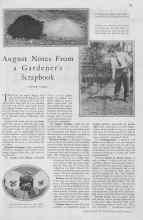 Better Homes & Gardens August 1930 Magazine Article: August Notes From a Gardener's Scrapbook