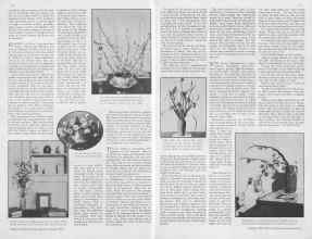 Better Homes & Gardens August 1930 Magazine Article: Page 14