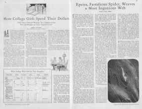 Better Homes & Gardens August 1930 Magazine Article: Page 18