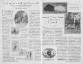 Better Homes & Gardens August 1930 Magazine Article: Page 20