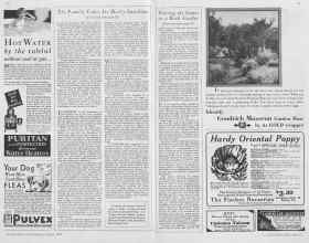 Better Homes & Gardens August 1930 Magazine Article: Page 62