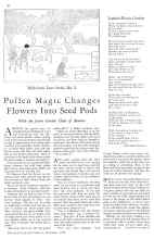 Better Homes & Gardens September 1930 Magazine Article: Pollen Magic Changes Flowers Into Seed Pods