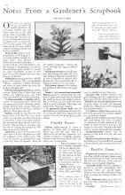 Better Homes & Gardens September 1930 Magazine Article: Notes From a Gardener's Scrapbook