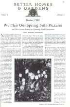 Better Homes & Gardens October 1930 Magazine Article: We Plan Our Spring Bulb Pictures