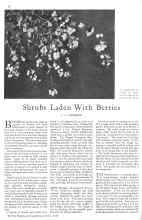 Better Homes & Gardens October 1930 Magazine Article: Shrubs Laden With Berries