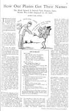 Better Homes & Gardens October 1930 Magazine Article: How Our Plants Get Their Names