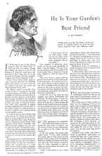 Better Homes & Gardens October 1930 Magazine Article: He Is Your Garden's Best Friend