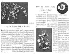 Better Homes & Gardens October 1930 Magazine Article: Page 18