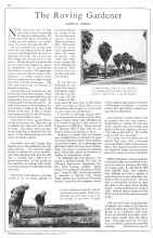 Better Homes & Gardens November 1930 Magazine Article: The Roving Gardener