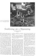 Better Homes & Gardens November 1930 Magazine Article: Gardening on a Shoestring