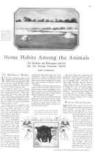 Better Homes & Gardens November 1930 Magazine Article: Home Habits Among the Animals