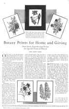 Better Homes & Gardens November 1930 Magazine Article: Botany Prints for Home and Giving