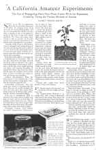 Better Homes & Gardens November 1930 Magazine Article: A California Amateur Experiments