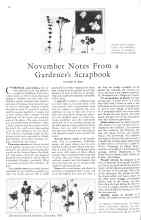 Better Homes & Gardens November 1930 Magazine Article: November Notes From a Gardener's Scrapbook