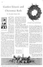 Better Homes & Gardens December 1930 Magazine Article: Garden Greens and Christmas Reds