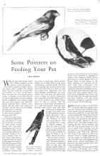 Better Homes & Gardens December 1930 Magazine Article: Some Pointers on Feeding Your Pet