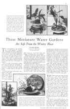 Better Homes & Gardens December 1930 Magazine Article: These Miniature Water Gardens