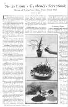 Better Homes & Gardens December 1930 Magazine Article: Notes From a Gardener's Scrapbook