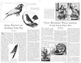 Better Homes & Gardens December 1930 Magazine Article: Page 24