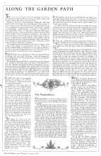 Better Homes & Gardens January 1931 Magazine Article: ALONG THE GARDEN PATH