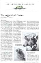 Better Homes & Gardens February 1931 Magazine Article: The Appeal of Cactus