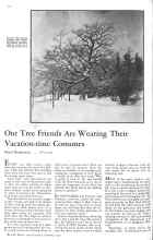 Better Homes & Gardens February 1931 Magazine Article: Our Tree Friends Are Wearing Their Vacation-time Costumes