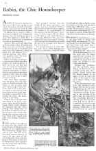 Better Homes & Gardens February 1931 Magazine Article: Robin, the Chic Housekeeper