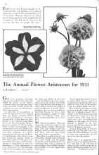 Better Homes & Gardens February 1931 Magazine Article: The Annual Flower Aristocrats for 1931
