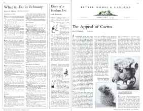 Better Homes & Gardens February 1931 Magazine Article: Page 10
