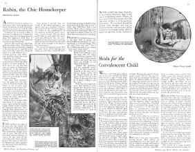 Better Homes & Gardens February 1931 Magazine Article: Page 20